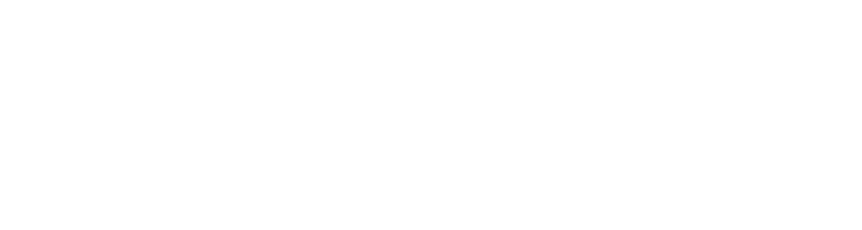 NetyBee